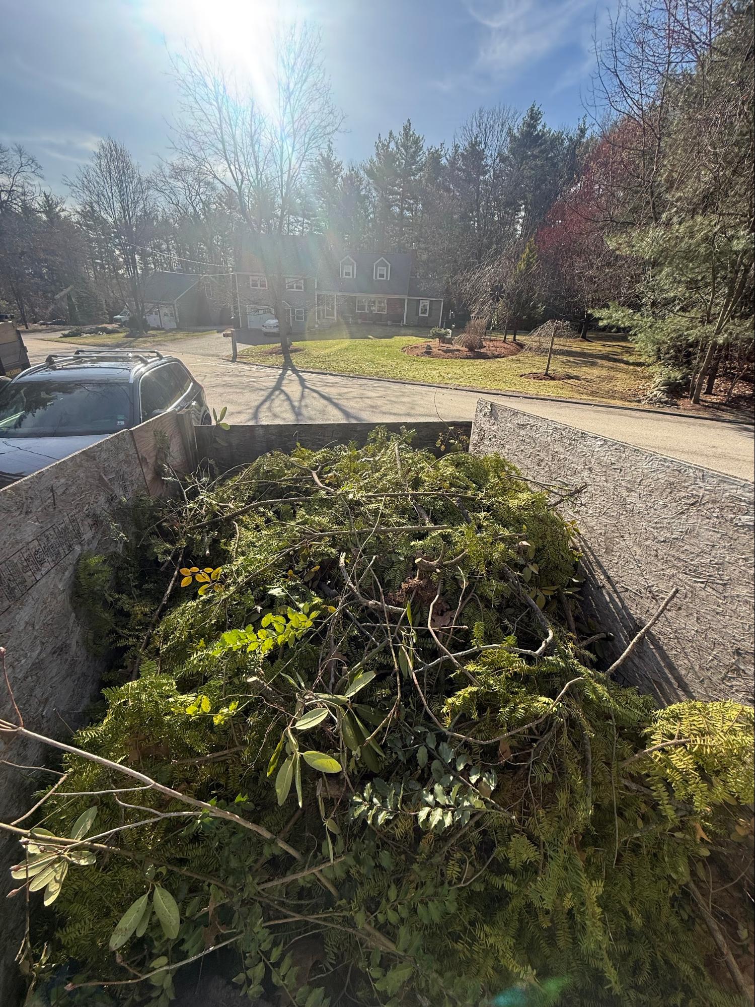 Truck bed loaded with yard waste and brush — Start Today Junk Removal